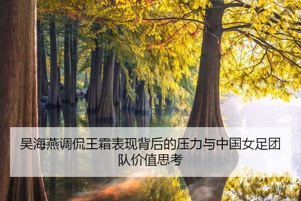 吴海燕调侃王霜表现背后的压力与中国女足团队价值思考